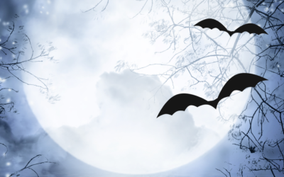 Halloween in Wassenaar