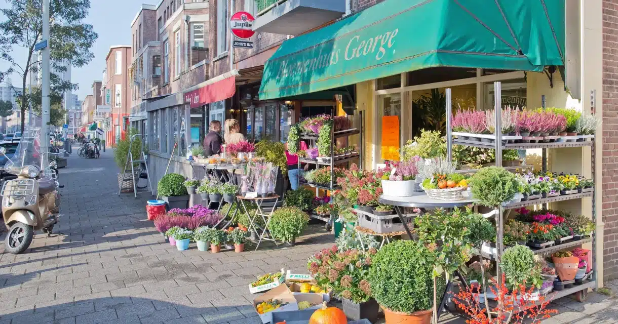 Makelaar in Den Haag.jpg Makelaar in de Archipelbuurt