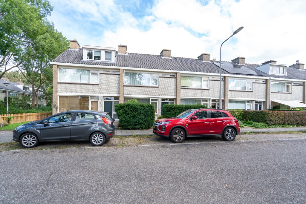 Hoofdafbeelding Van Polanenpark 162